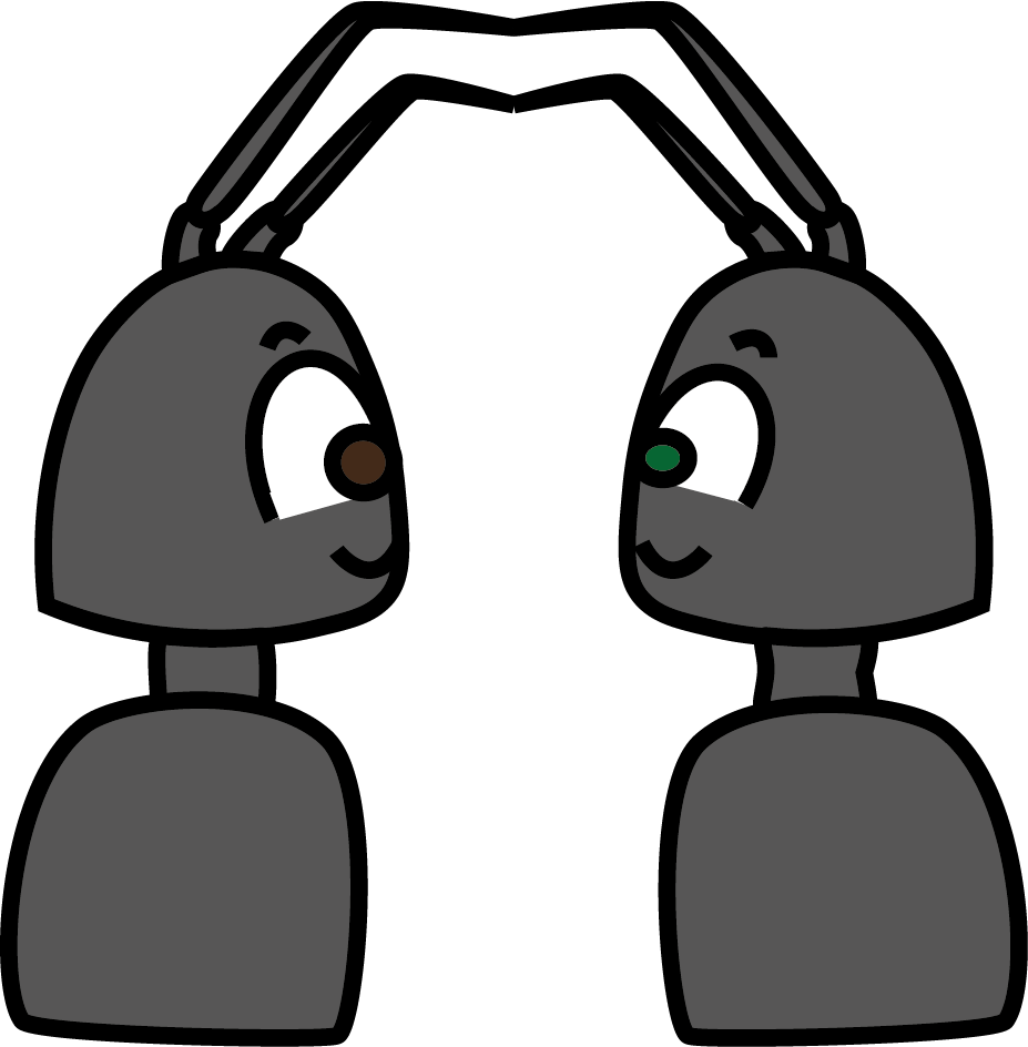 Deux fourmis reliées par leurs antennes